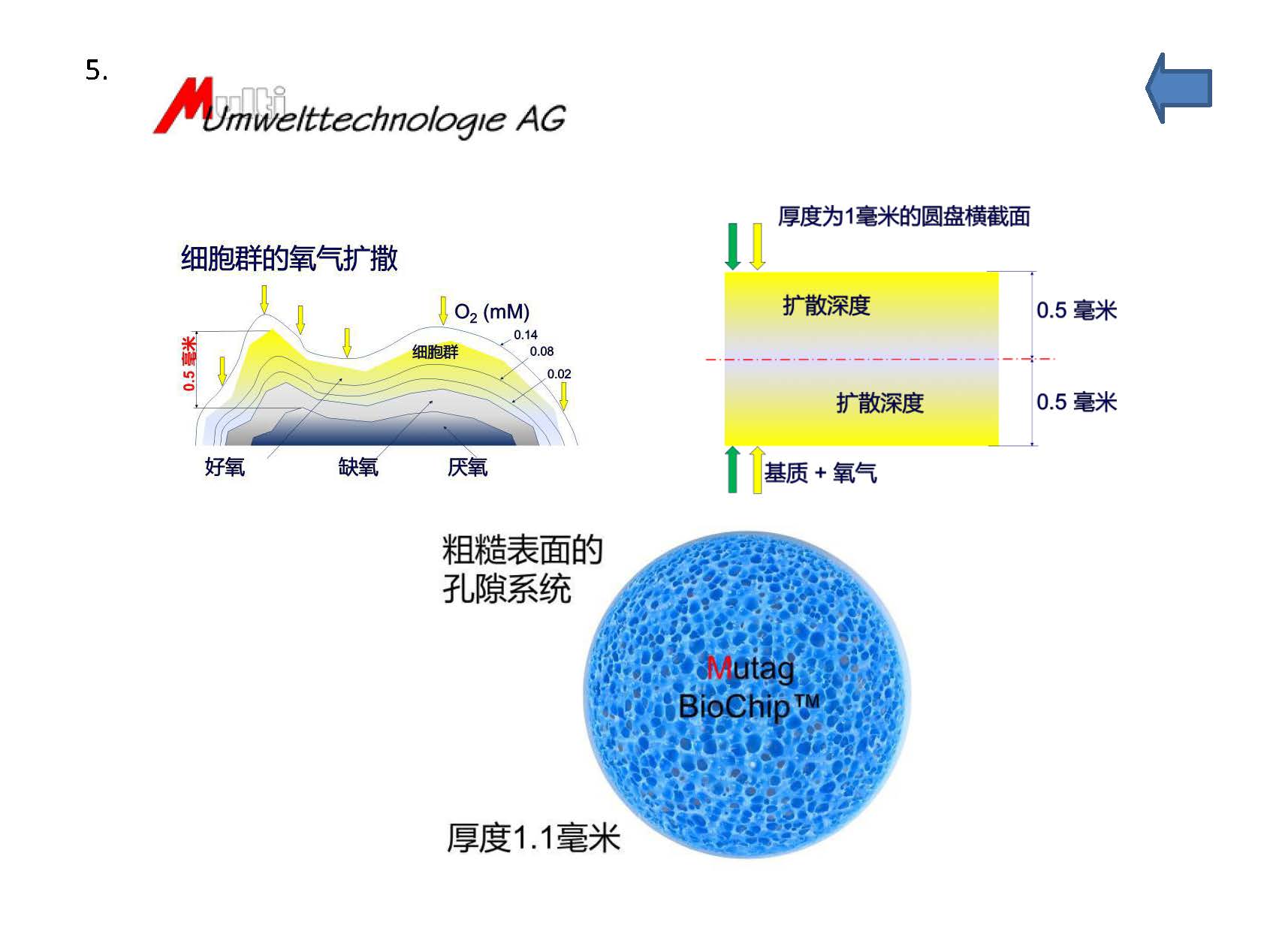 膜泰客生菌圆片mutag biochip_页面_14.jpg